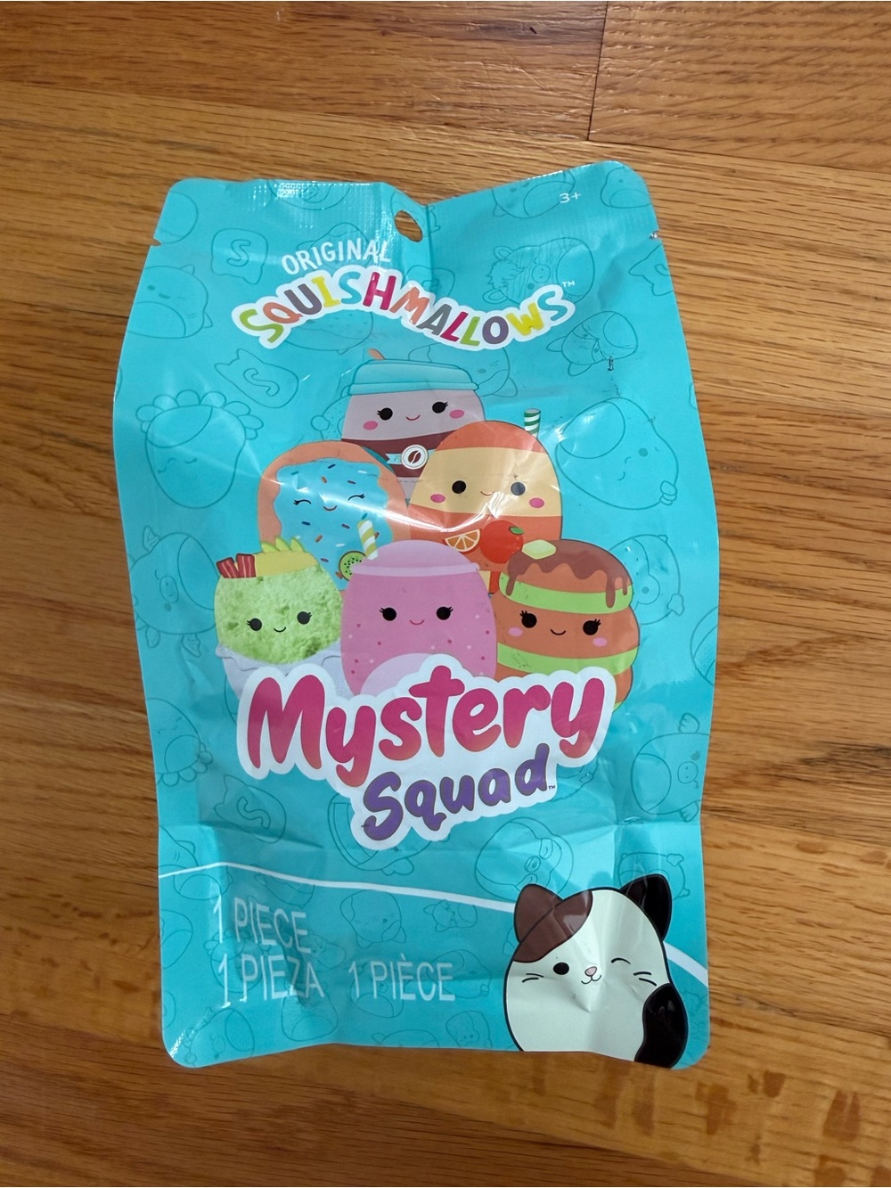 Squishmallows Mystery Squad Blind Bag - Teal Packaging